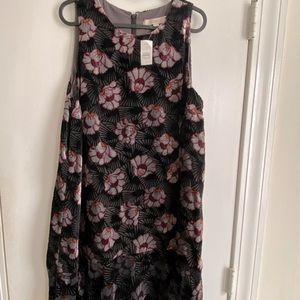 NWT LOFT  dress